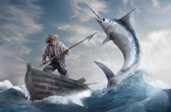 Старик и море. Где найти цитаты с книги Старик и море.